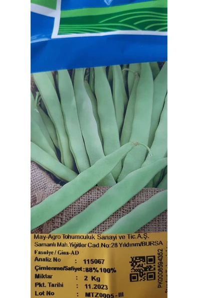 KOLUKISA TARIM MAY GİNA OTURAK (BODUR)FASULYE TOHUMU--500GR - 3