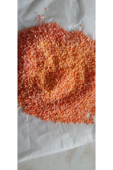 Yavaş Salınımlı Akıllı Üre Gübresi 9 Aylık Tüm Bitkiler Için Uygun-250 gram - Resim 3