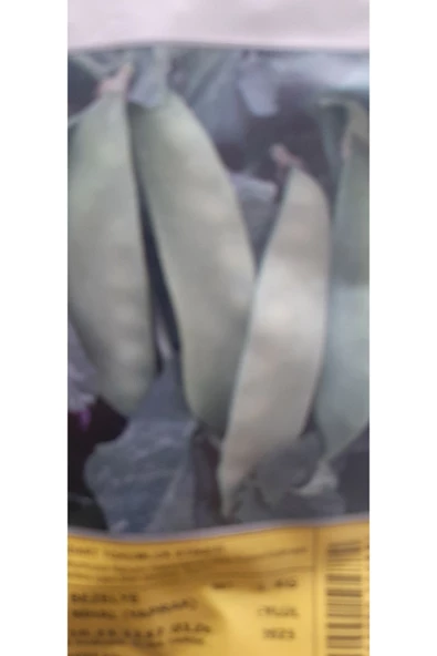 KOLUKISA TARIM YAPRAK BEZELYE TOHUMU--250GR - 2
