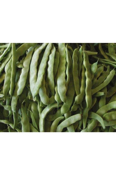 Fasulye Tohumu Perolar 100 Gr - Resim 2