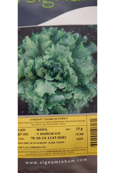 KOLUKISA TARIM YAZLIK KIVIRCIK TOHUMU - Resim 3