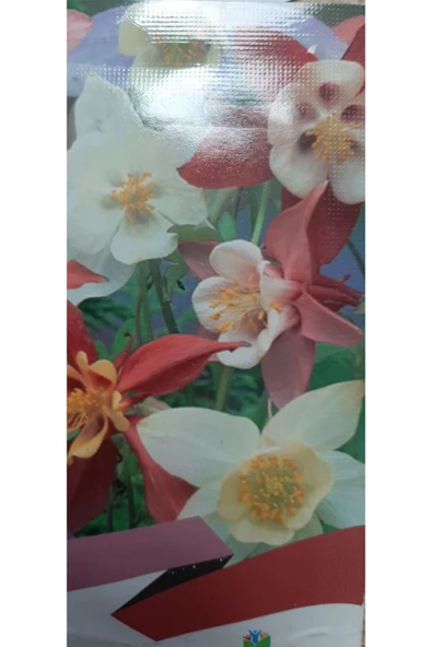 KOLUKISA TARIM YER KÜPELİSİ ÇİÇEK TOHUMU - Resim 2