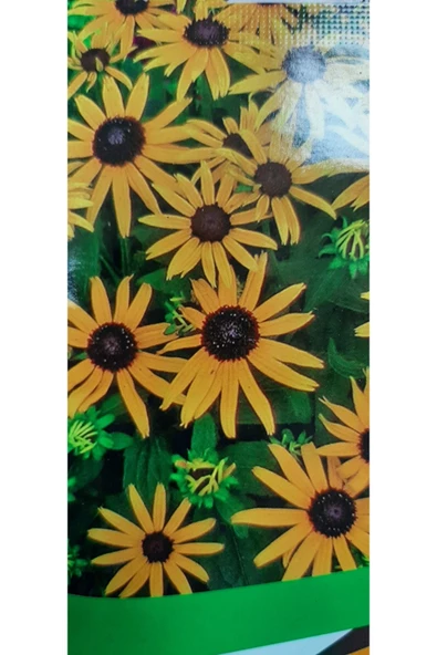 KOLUKISA TARIM AFRİKA PAPATYASI ÇİÇEK TOHUMU ürün görseli 1