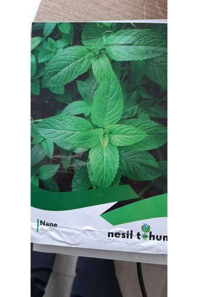 KOLUKISA TARIM NANE TOHUMU - 2