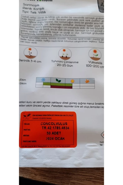 SARMAŞIK TOHUMU - Resim 4