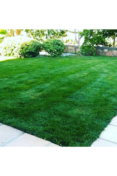 Üre Gübresi 5 Kg Bölünmüş Ürün - Resim 3