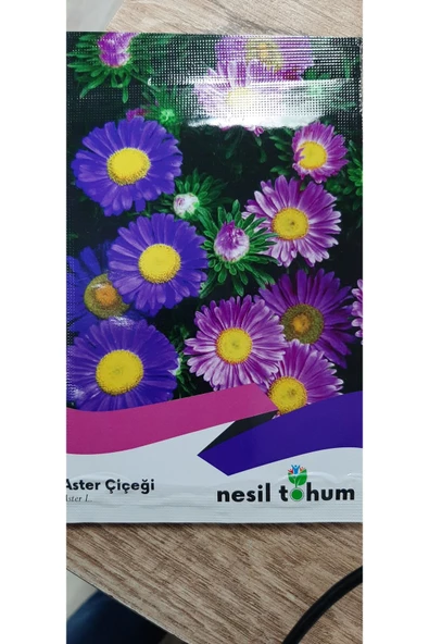 ASTER ÇİÇEĞİ TOHUMU - 2