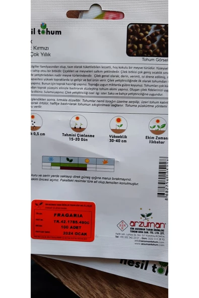 YEDİVEREN ÇİLEK TOHUMU - 4