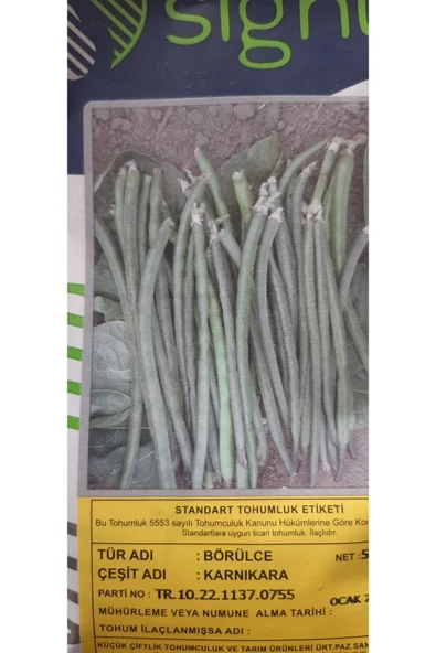 KOLUKISA TARIM BÖRÜLCE TOHUMU - Resim 4