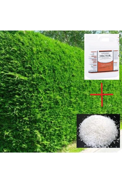 Leylandi - Servi - Çam Coşturan Çit Ve Duvar Bitkisi Özel Gübre 5 Litre + 10 Kilogram Üre