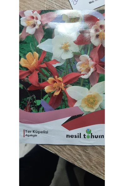 KOLUKISA TARIM YER KÜPELİSİ ÇİÇEK TOHUMU - Resim 4