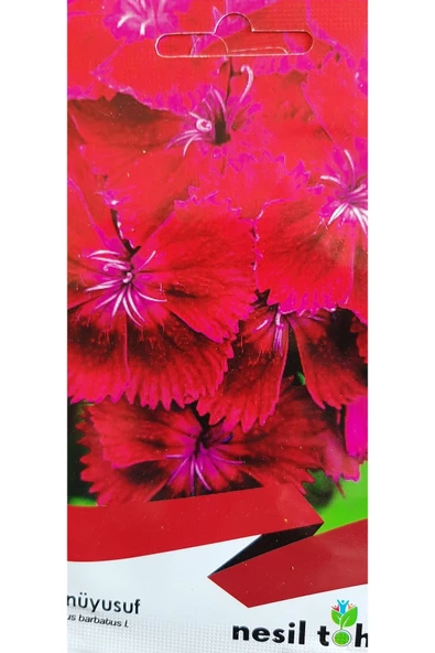 KOLUKISA TARIM HÜSNÜ YUSUF ÇİÇEK TOHUMU - Resim 2