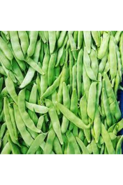 50 Adet Tohum Kılçıksız Sırık Ayşe Kadın Fasülye Fasulye Tohum Fasulye Tohum Hediye Tohumlu - Resim 3