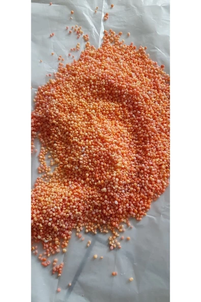 Yavaş Salınımlı Akıllı Üre Gübre 9 Aylık-500 gram Tüm Bitkiler Için Uygun - Resim 3