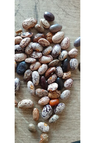 KOLUKISA TARIM ERKENCİ TİP ATA DEDE BARBUNYA SIRIK FASULYE TOHUMU ürün görseli 1