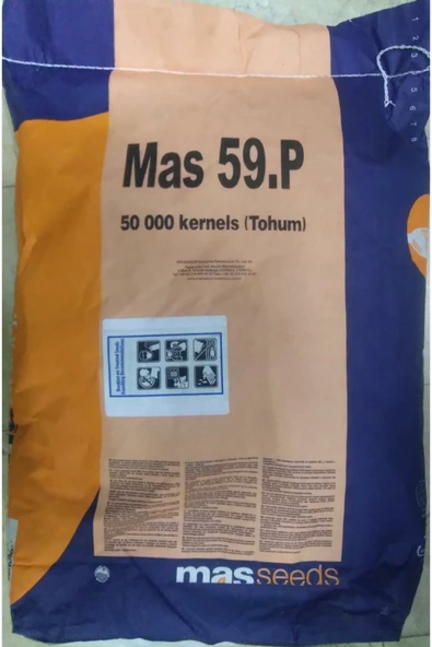 Mısır Tohumu Süt Mısır 1000 Gr Mas Yaklaşık 3000 Adet - 3