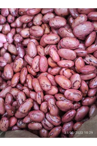 Fasulye Tohumu Alabarbun 100gr ürün görseli 1