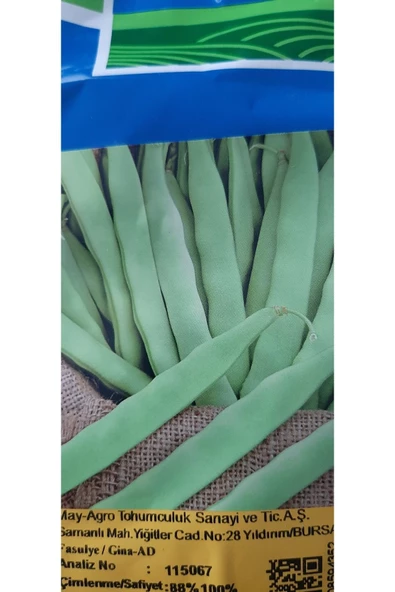 KOLUKISA TARIM MAY GİNA BODUR (OTURAK) FASULYE TOHUMU--250GR - 2