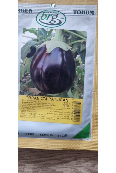 KOLUKISA TARIM TOPAN PATLICAN TOHUMU--25GR - 3