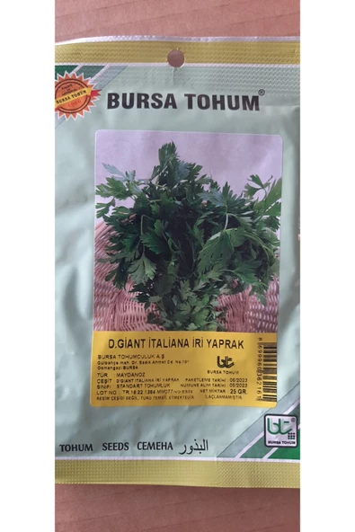 KOLUKISA TARIM İRİ YAPRAK MAYDANOZ TOHUMU - 2