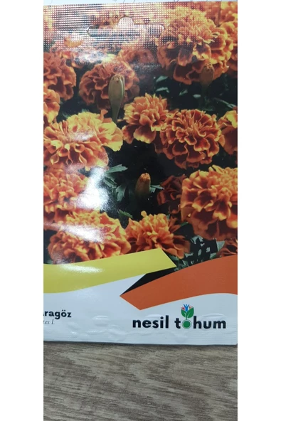 KOLUKISA TARIM KADİFE ÇİÇEK TOHUMU - 3