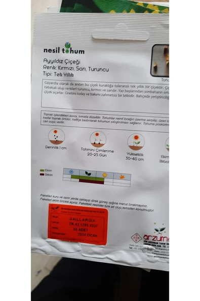 KOLUKISA TARIM AYYILDIZ ÇİÇEK TOHUMU - Resim 4