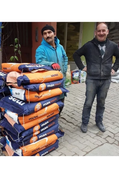 Mısır Tohumu Süt Mısır 500 gr Mas Yaklaşık 1500 Adet - 4