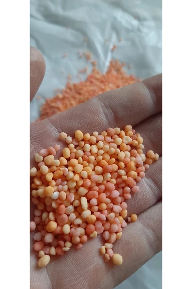 Yavaş Salınımlı Akıllı Üre Gübre 9 Aylık-500 gram Tüm Bitkiler Için Uygun - Resim 2