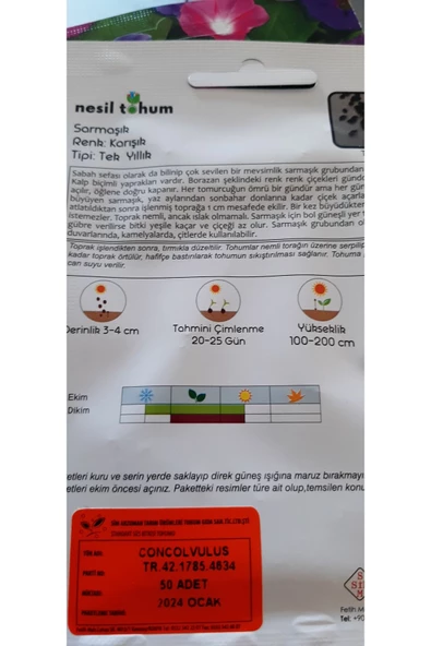 SARMAŞIK TOHUMU - Resim 3