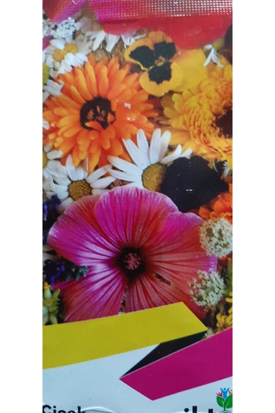 KOLUKISA TARIM KARIŞIK ÇİÇEK TOHUMU - Resim 3