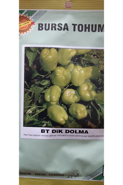 KOLUKISA TARIM DİK DOLMA BİBER TOHUMU - 3
