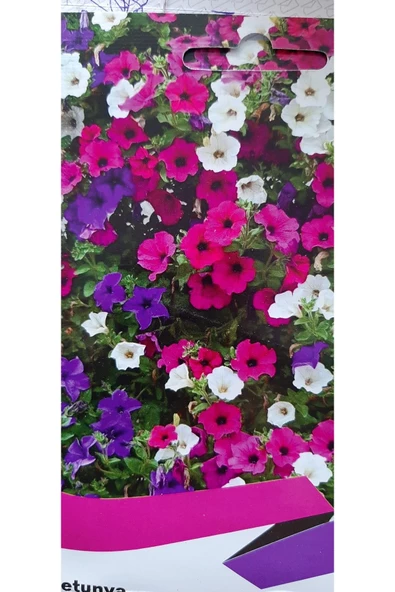 KOLUKISA TARIM PETUNYA ÇİÇEK TOHUMU - Resim 3