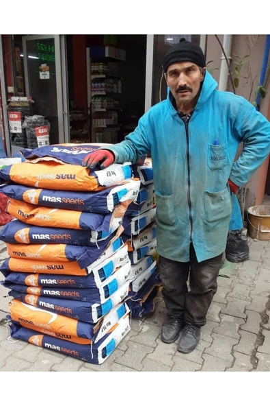 Mısır Tohumu Süt Mısır 500 gr Mas Yaklaşık 1500 Adet - 6