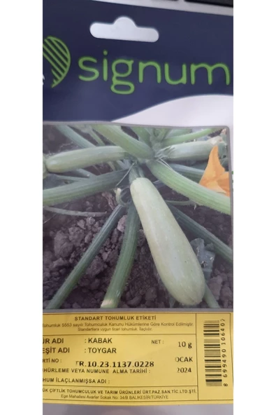 KOLUKISA TARIM TOYGAR KABAK TOHUMU - Resim 3
