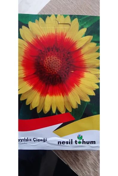 KOLUKISA TARIM AYYILDIZ ÇİÇEK TOHUMU - Resim 3