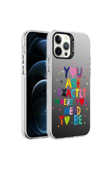 Apple iPhone 12 Pro Max Uyumlu Kılıf Desenli Zore Silver Sert Kapak (You)