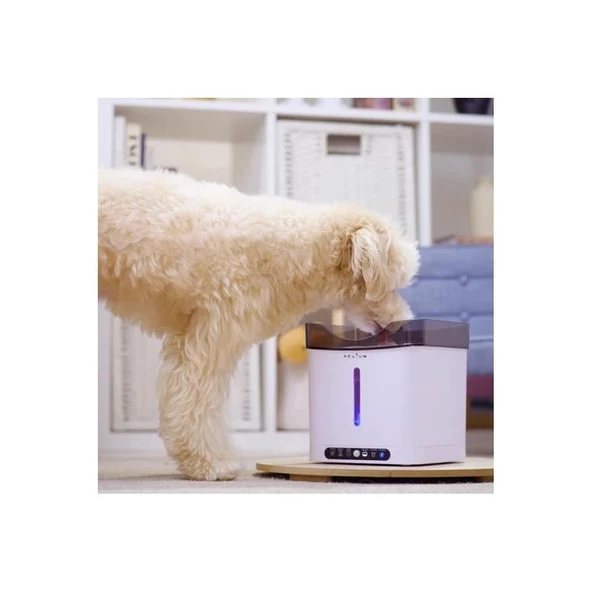 Aclium Sensörlü Köpek Su Sebili 2,4 Lt - 2