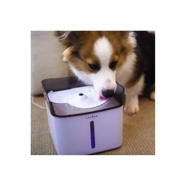 Aclium Köpek Su Sebili 2,4 Lt - 2