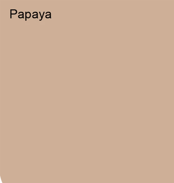 Marshall Antibakteriyel Hijyen İpek Mat İç Cephe Boyası Papaya 15lt (20 Kg) - 2