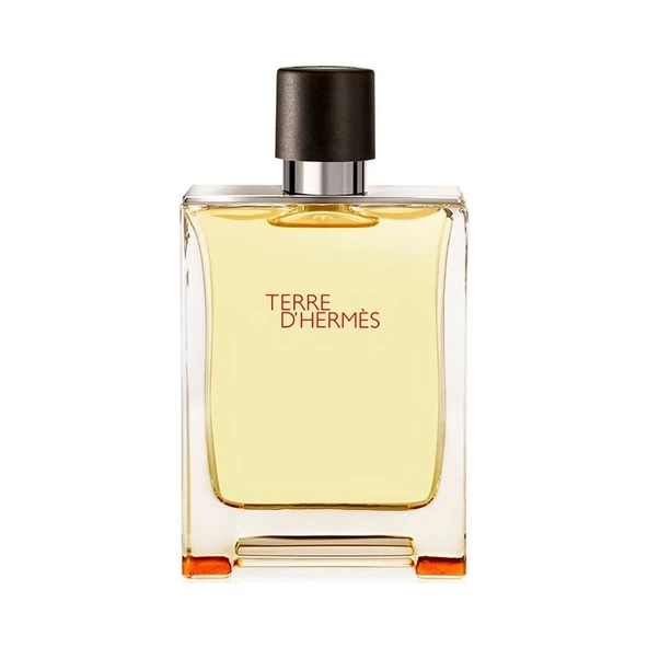 Hermes Terre D'Hermes EDT 100 ml Erkek Parfüm