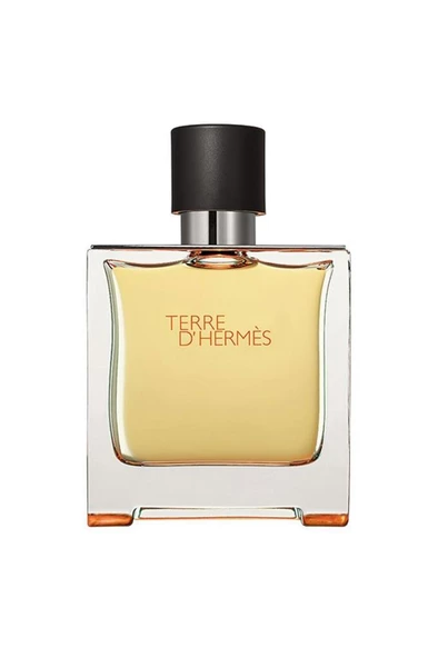 Hermes Terre D'Hermes EDP 75 ml Erkek Parfüm - 1
