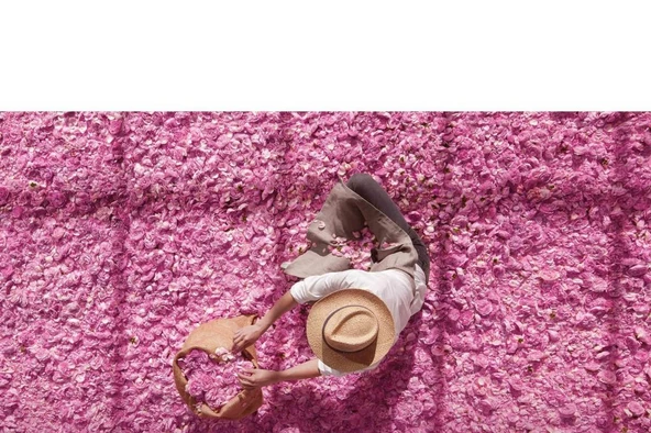 Dior Miss Dior Rose N'Roses EDT 100 ml Kadın Parfüm - 6