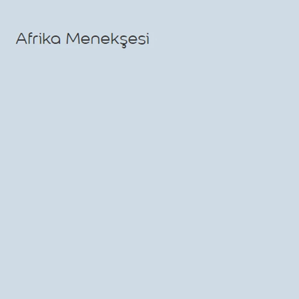 Marshall Sil-Pak Afrika Menekşesi 7,5lt (10 Kg) - 2