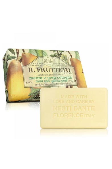 Nesti Dante IL Frutteto Purifying Soap 250 gr