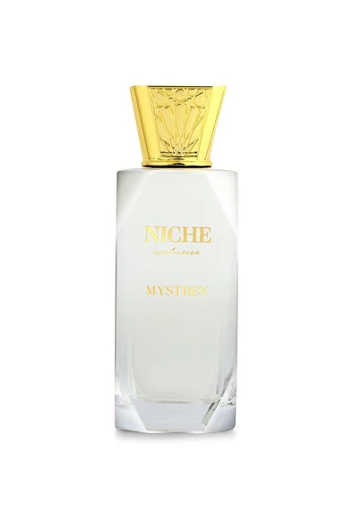 Niche Exclusive Mystrey EDP 100 ml - Resim 3