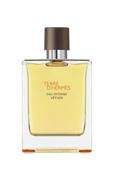 Hermes Terre D'Hermes Intense Vetiver EDP 200 ml Erkek Parfüm