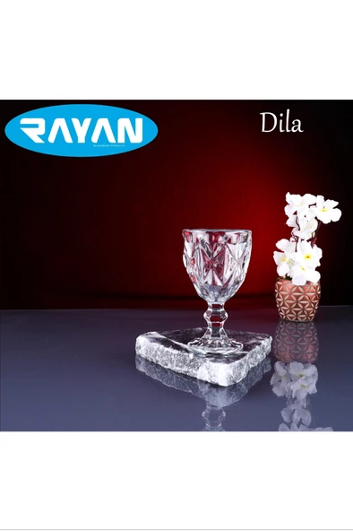 Dila 6'lı Kahve Yanı Bardak  -RYG8006