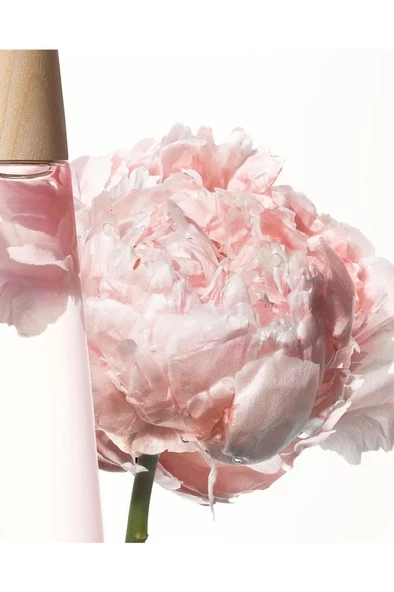 Issey Miyake L‘Eau D'Issey Pivoine Peony EDT Intense 50 ml Kadın Parfüm - Resim 3