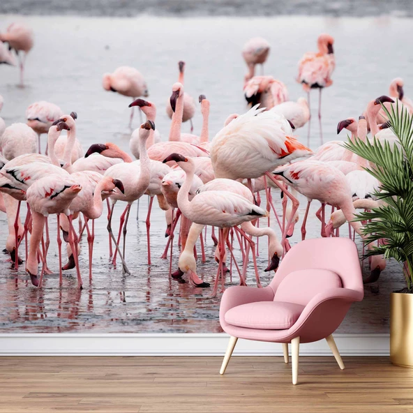 Deniz ve Pembe Flamingo Manzaları Duvar Kağıdı - Resim 6