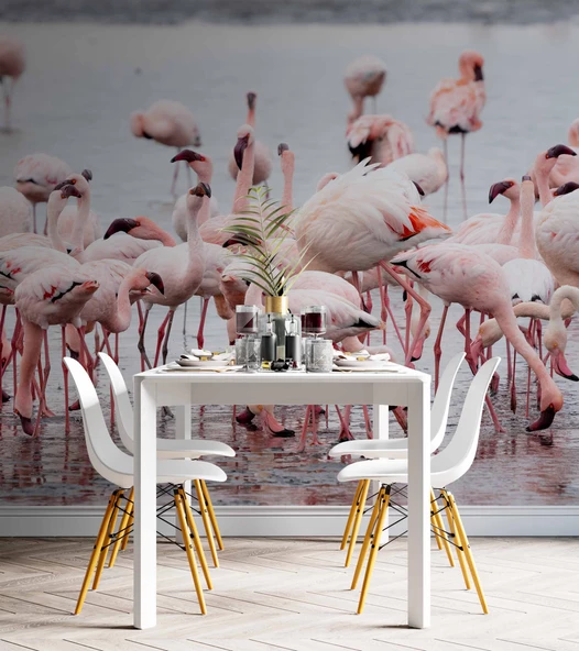 Deniz ve Pembe Flamingo Manzaları Duvar Kağıdı - Resim 5